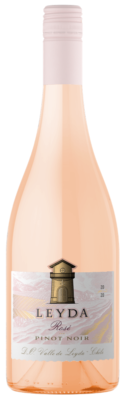 Wine Bottle